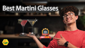 Best Martini Glasses