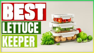 Best Lettuce Keeper