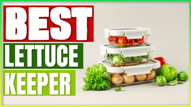Best Lettuce Keeper