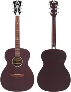 D'Angelico Premier Tammany LS Acoustic-Electric Guitar