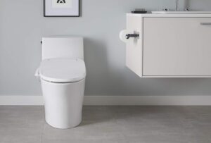 KOHLER Veil One-Piece Skirted Toilet, Dual Flush, Elongated Bowl, Skirted Trapway, White, Slow Close Seat, Seat Included, K-1381-0