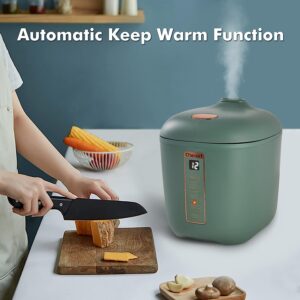 CHACEEF Mini Rice Cooker 2-Cups Uncooked, 1.2L Portable Non-Stick Small Travel Rice Cooker, Smart Control Multifunction Cooker with 24 Hours Timer Delay & Keep Warm Function, Food Steamer, Green