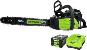 Greenworks 80V 18" Brushless Cordless Chainsaw (Great For Tree Felling, Limbing, Pruning, and Firewood), 2.0Ah Battery and Rapid Charger Included