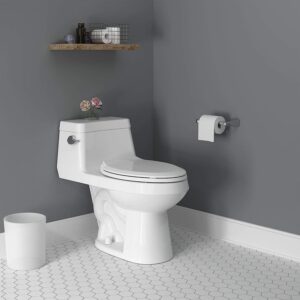 American Standard 2961A104SC.020 Colony Right Height Elongated One-Piece Toilet with Seat, White