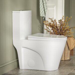 DV-1F52102A Elongated One Piece Toilet with Soft Closing Seat, Modern Dual Flush 1.1/1.6 GPF Toilet White 12'' Rough-In Toilet Bowl, 900 Gram MaP