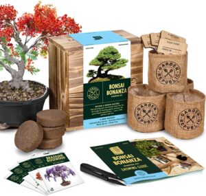 Bonsai Tree Seed Starter Kit - Mini Bonsai Plant Growing Kit, 4 Types of Seeds, Potting Soil, Pots, Pruning Shears Scissor Tool, Plant Markers, Wood Gift Box, Fathers Day Gardening Gifts Ideas