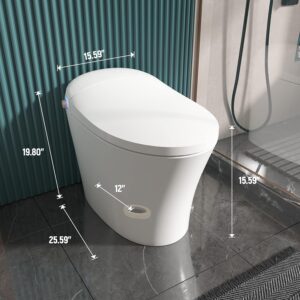 DOZTI Bidet Toilet, Dual Flush Smart Toilet 1/1.27 GPF, Upgraded Modern One-Piece Toilet, Tankless Toilet with Bidet Built-in, Instant Warm Water, Dryer, Deodorization