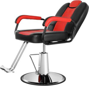 Comfort and Style Combined: Premium ARTIST Hand Salon Chair